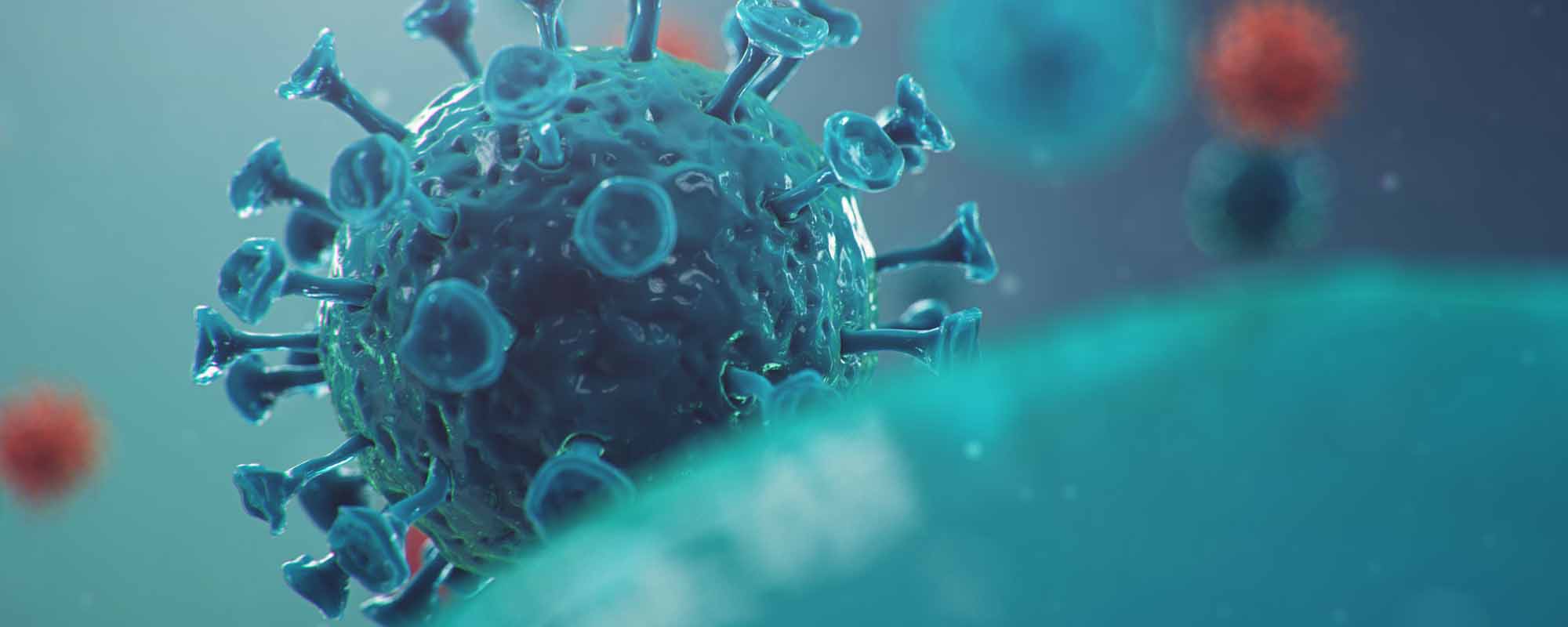 Clínica Medicina General en Lugo y Monforte